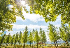 两家扶植工程公司因拖欠劳动报拖欠农人